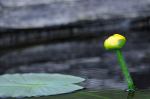 _DSC0346_043