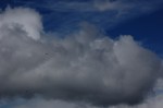 DSC_1180_12